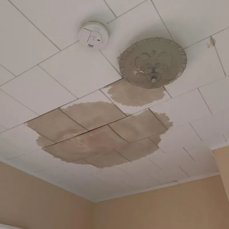 Ceiling Water Damage Repair in Lavaca County, TX