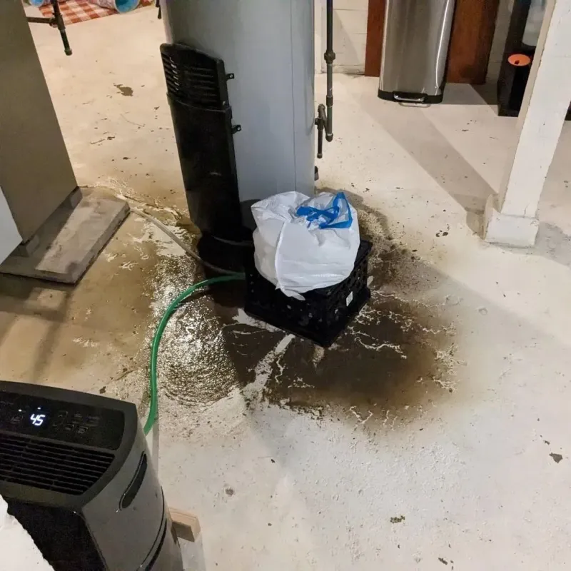 Sewage Backup Cleanup Service in Lavaca County, TX